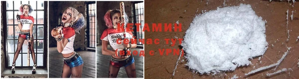 прущие грибы Баксан