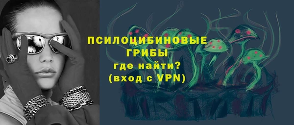индика Балабаново