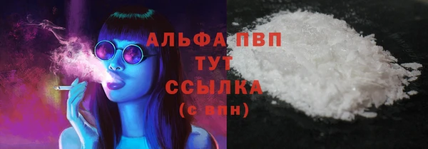 индика Балабаново