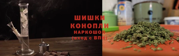 прущие грибы Баксан