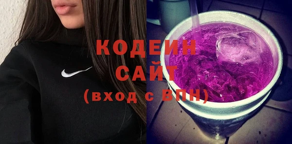 индика Балабаново