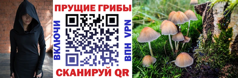 Галлюциногенные грибы мухоморы  дарк нет как зайти  Карасук 